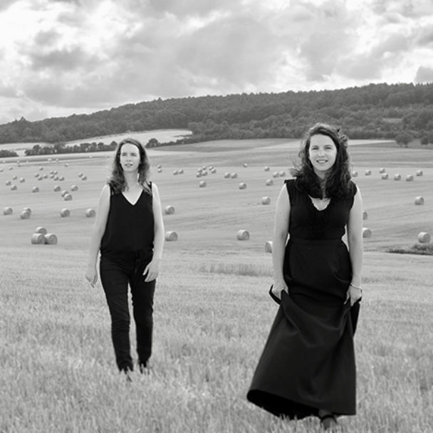 EEEMERGING+ ensembles in 2020